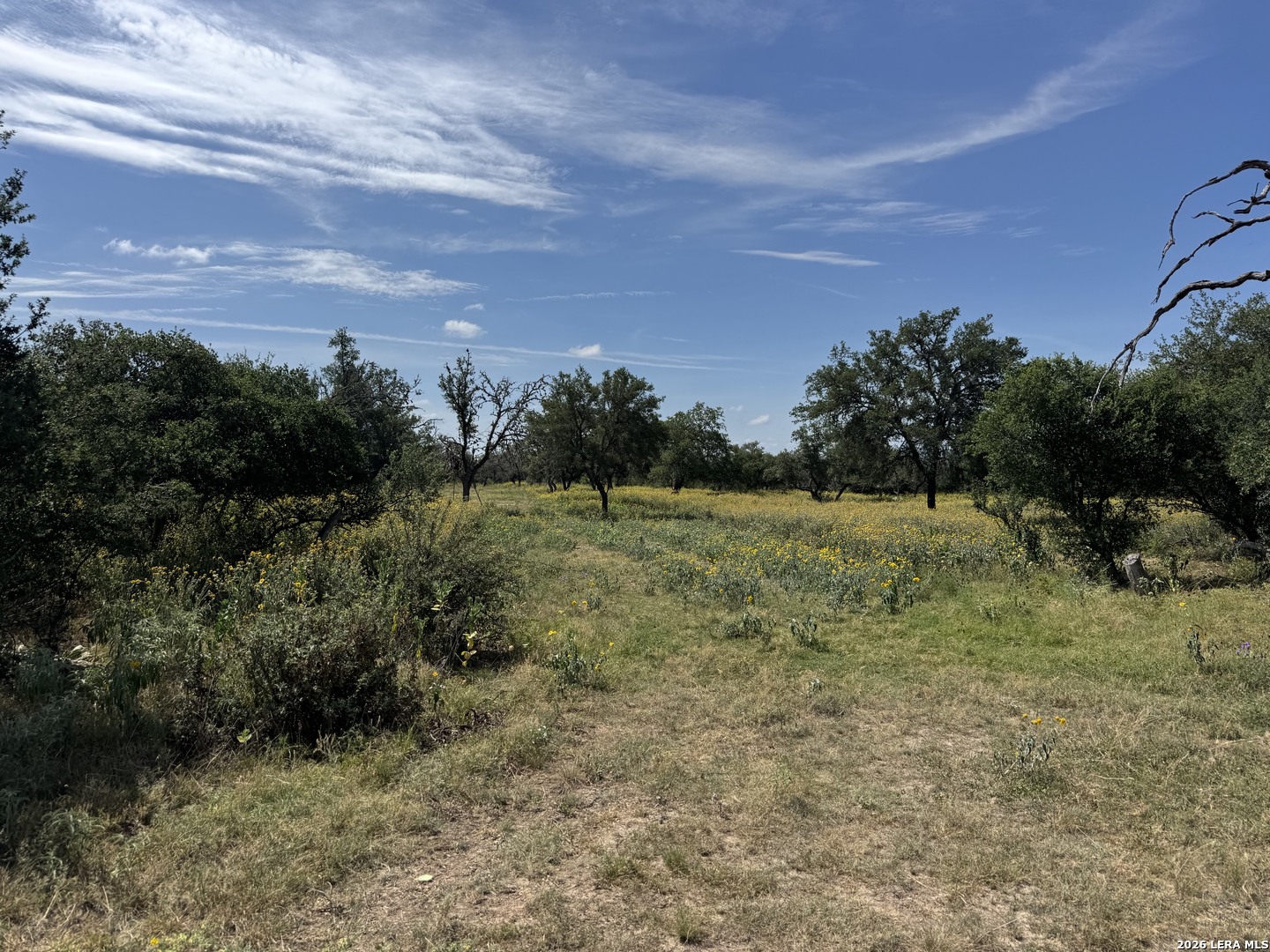 1864 Panther Hollow Bandera TX 78003