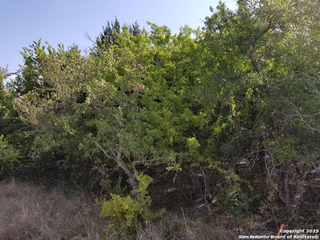 4736 Troy Schertz TX 78154