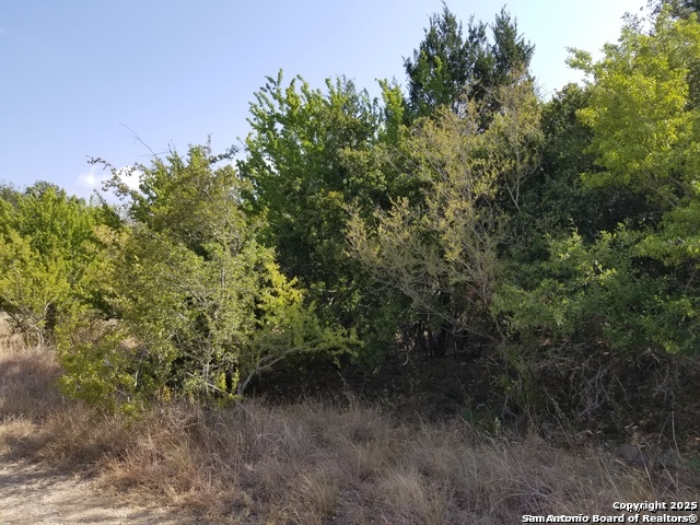 4736 Troy Schertz TX 78154