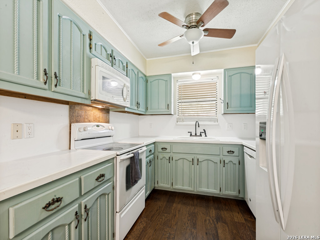 224 Azalea Trail Boerne TX 78006