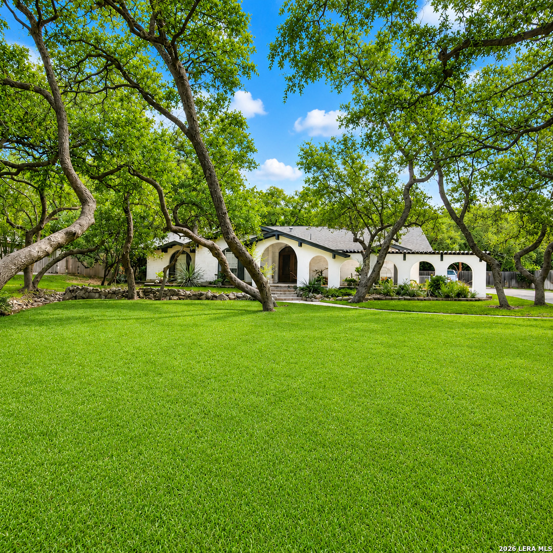 109 Honey Bee Lane Shavano Park TX 78231