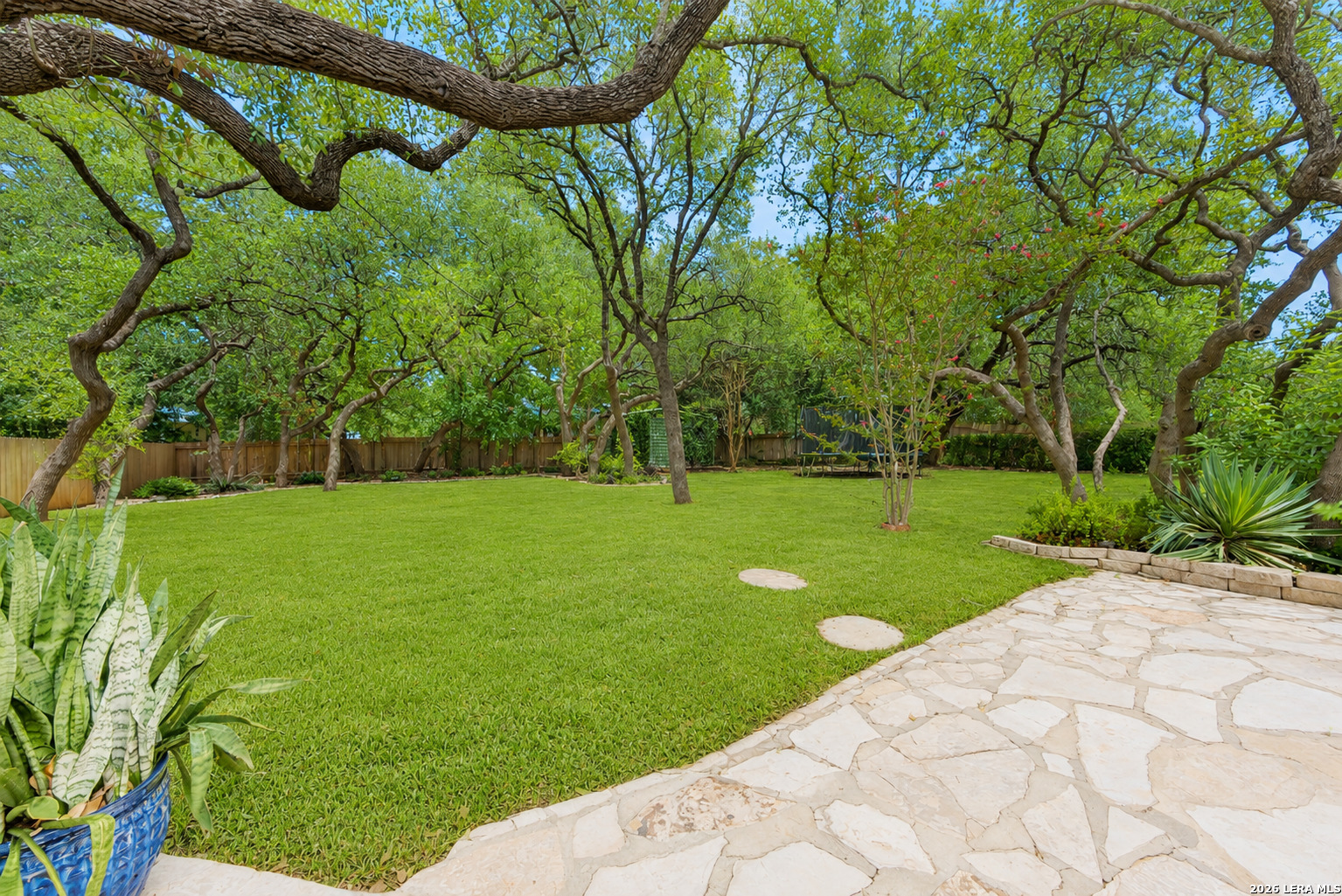 109 Honey Bee Lane Shavano Park TX 78231