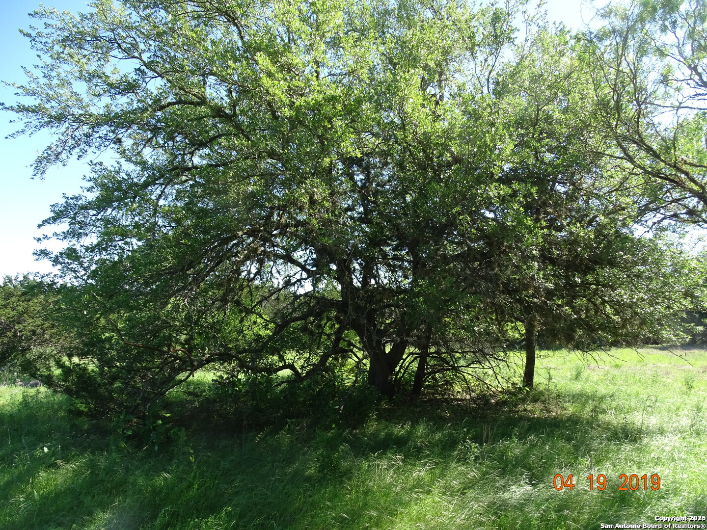 178 Bridlegate Boulevard Bandera TX 78003