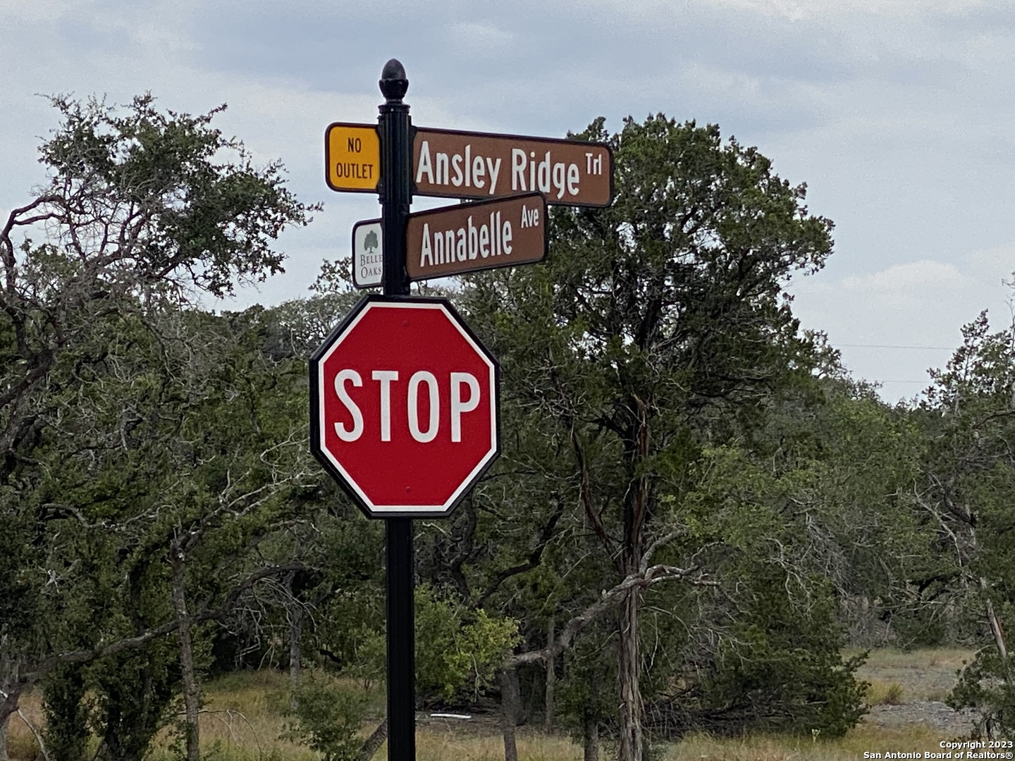 644 Annabelle Avenue Bulverde TX 78163