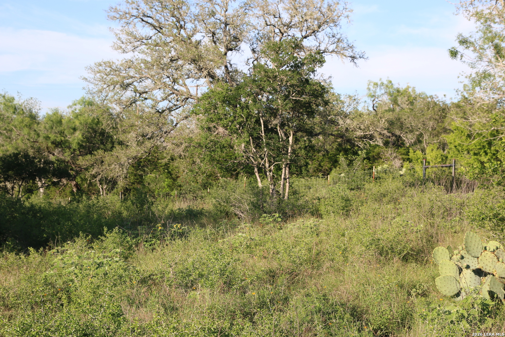 Tbd County Road 367 Hondo TX 78861