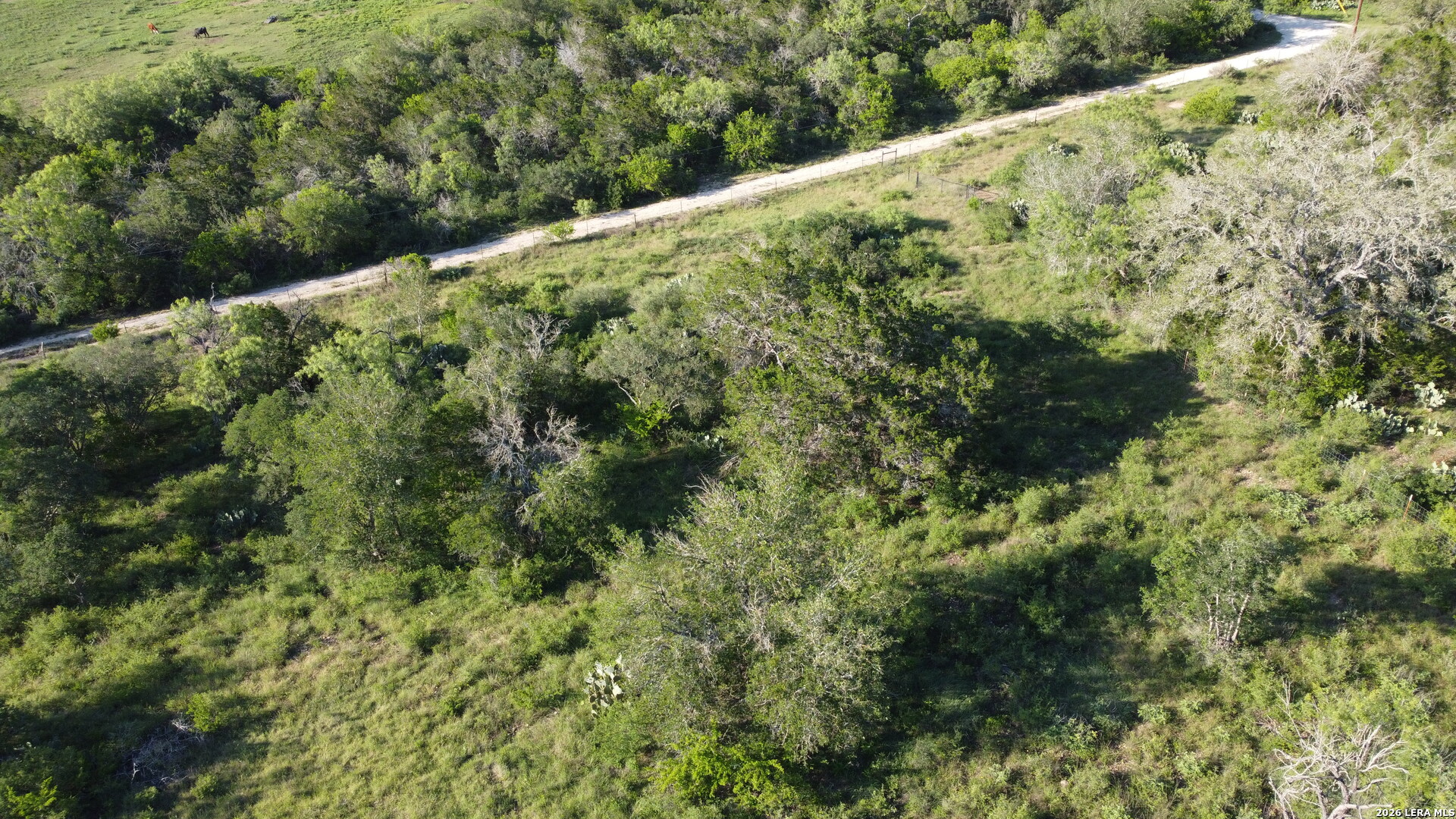 Tbd County Road 367 Hondo TX 78861