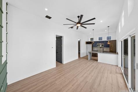 108 Vine San Antonio TX 78210
