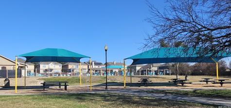 125 Saddle Breeze Cibolo TX 78108