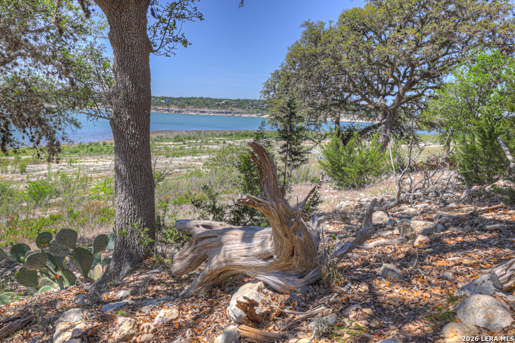 1000 Bamc Drive Canyon Lake TX 78133