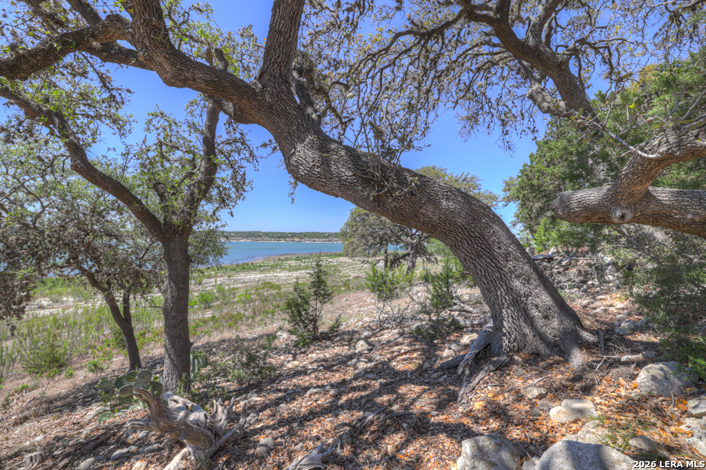 1000 Bamc Drive Canyon Lake TX 78133
