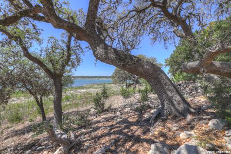 1000 Bamc Drive Canyon Lake TX 78133