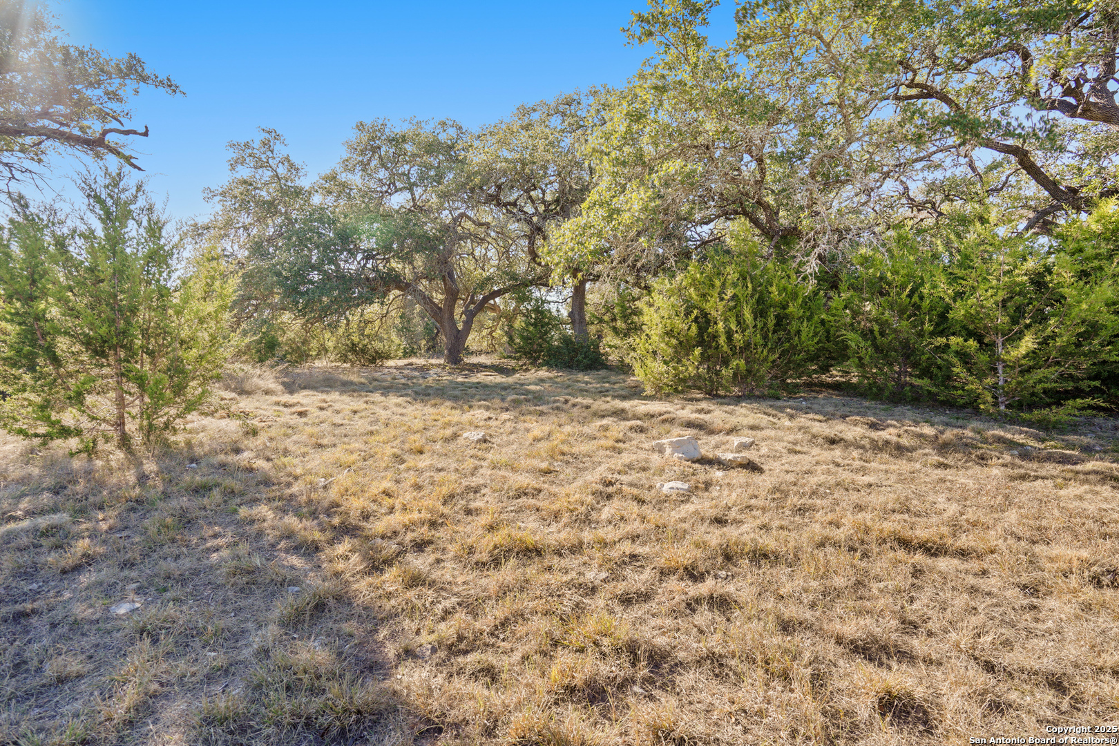 913 Annabelle Bulverde TX 78163