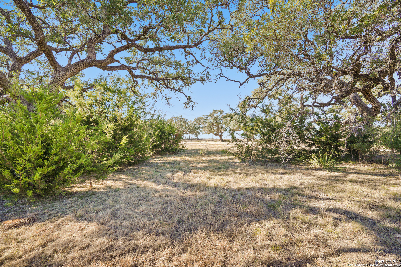 913 Annabelle Bulverde TX 78163