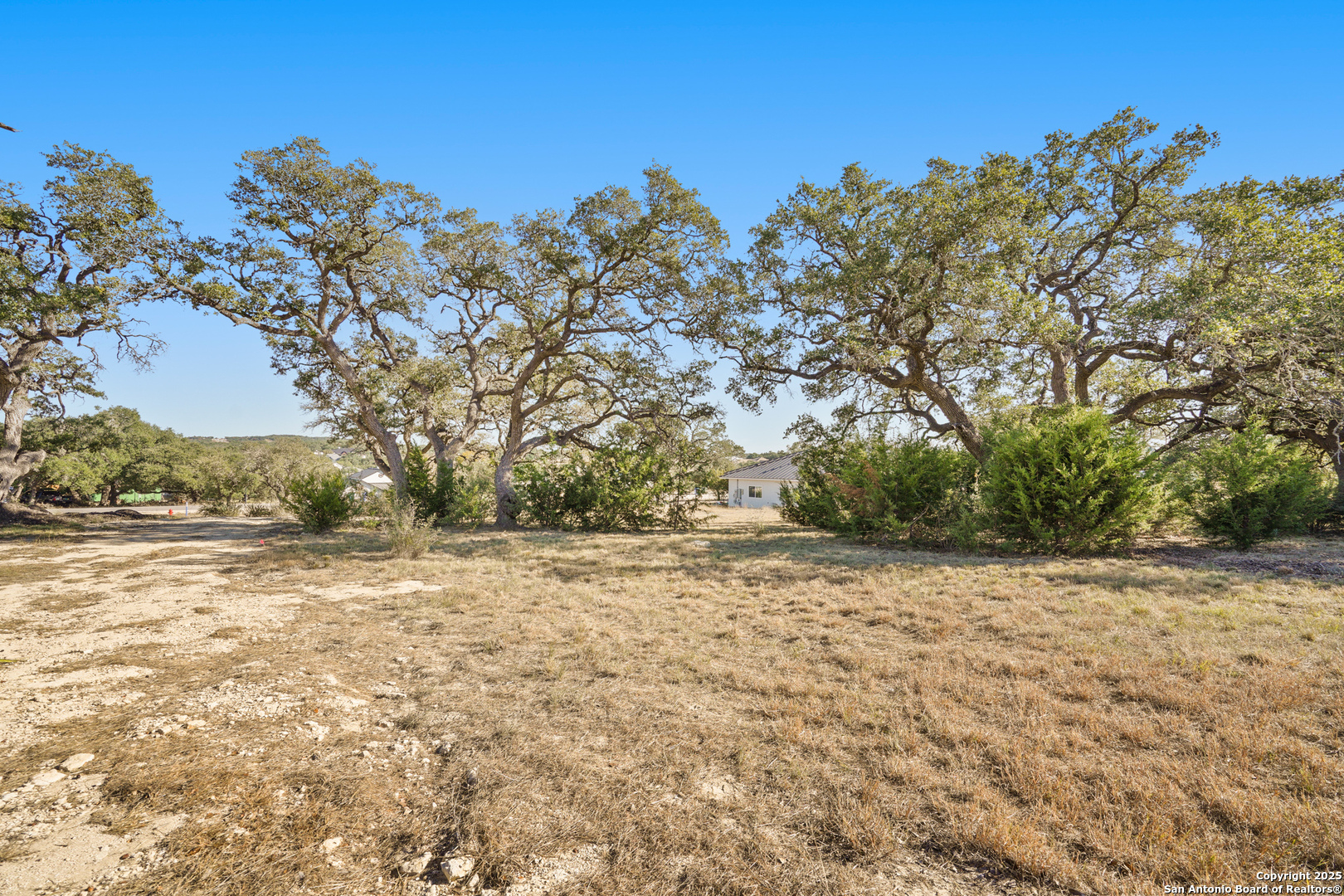 913 Annabelle Bulverde TX 78163