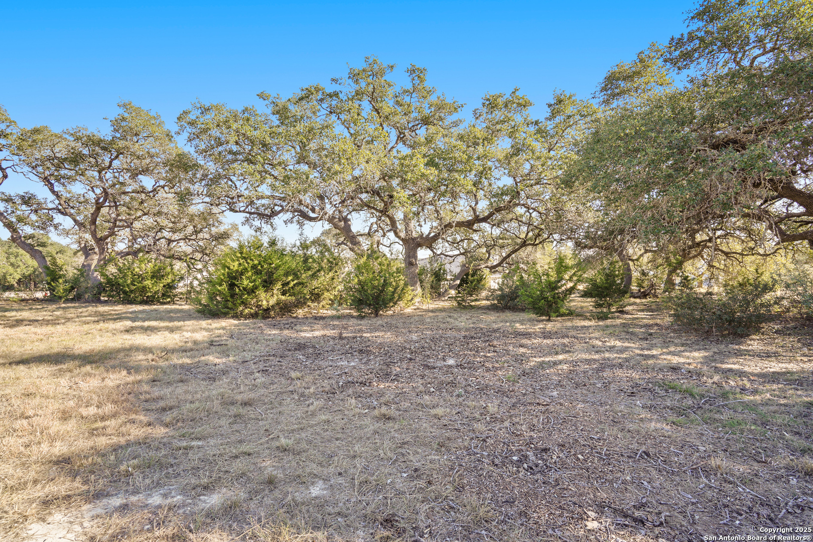 913 Annabelle Bulverde TX 78163