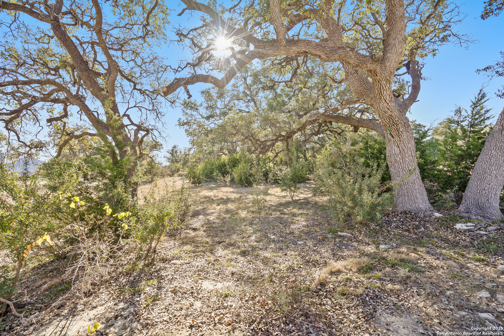 913 Annabelle Bulverde TX 78163