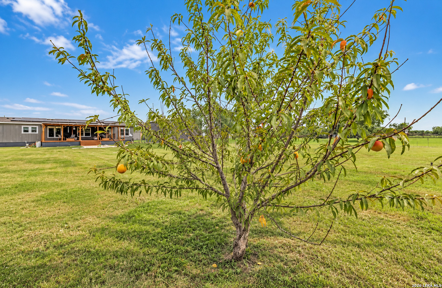 213 River Front Drive Cedar Creek TX 78612