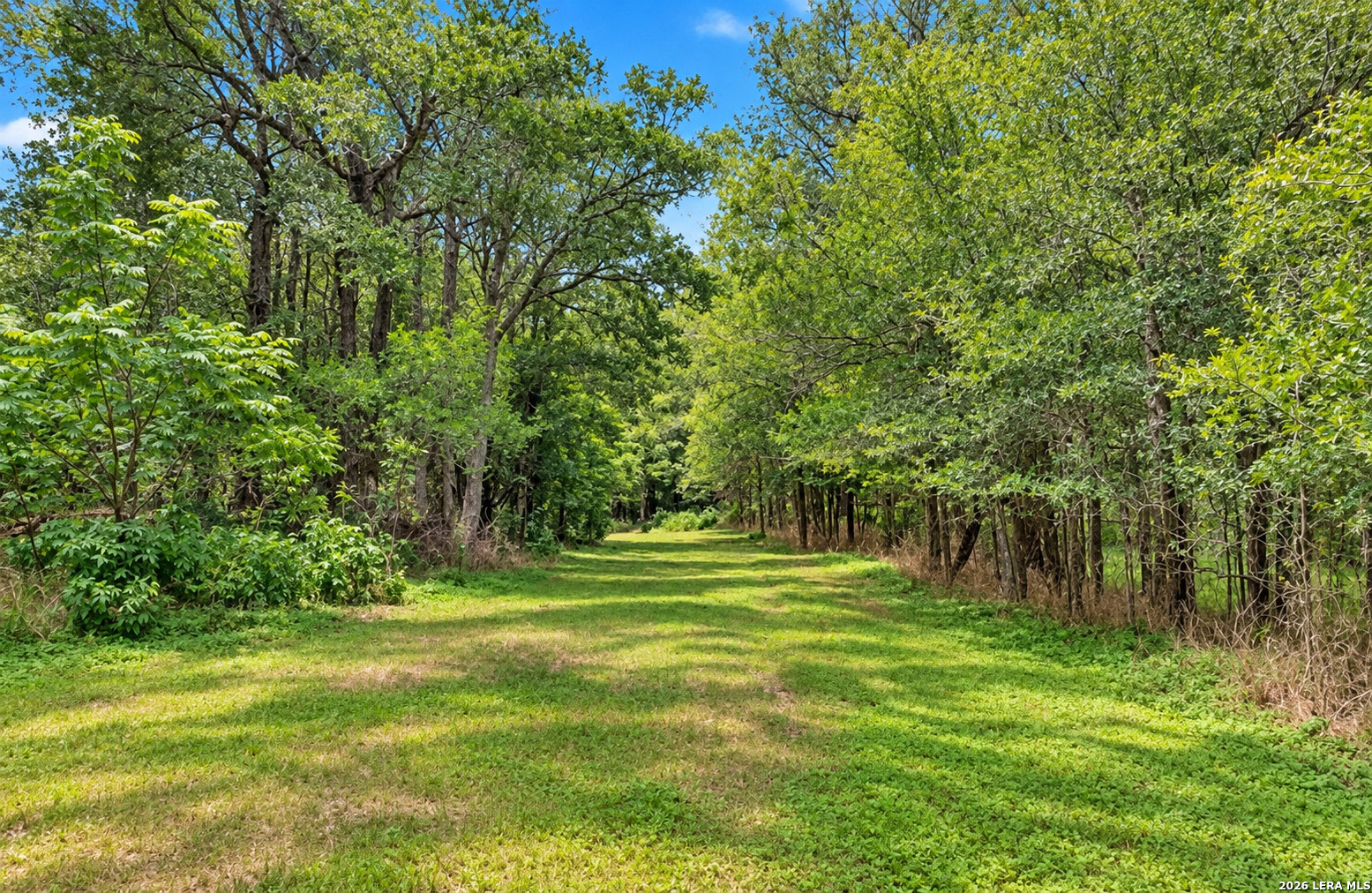 213 River Front Drive Cedar Creek TX 78612