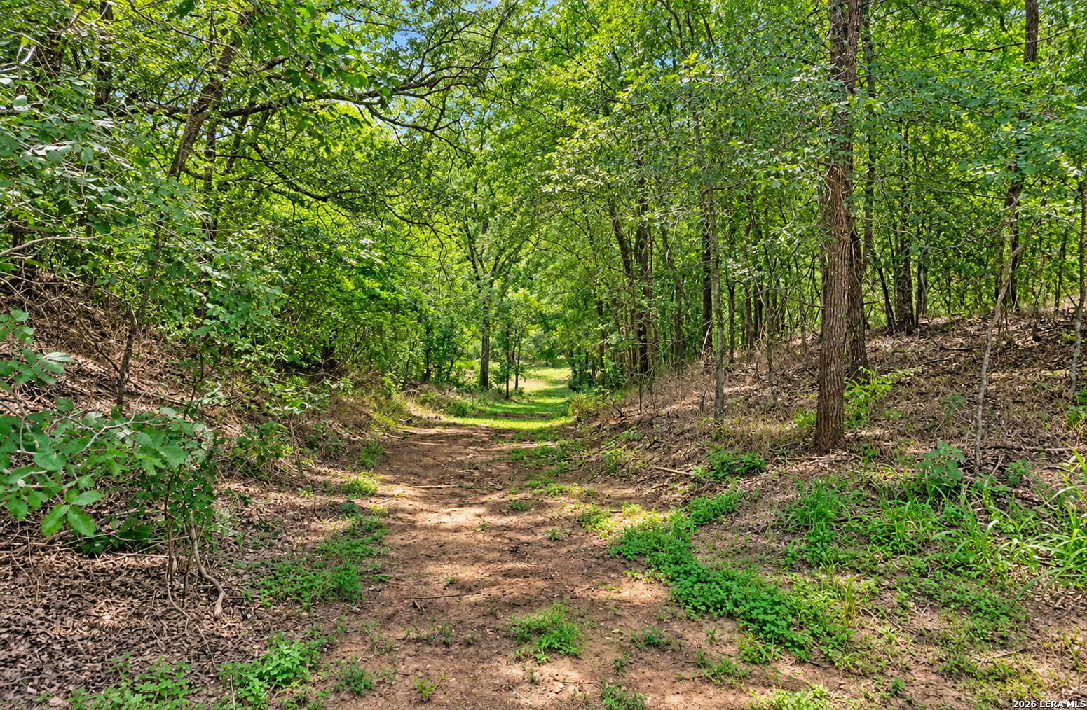 213 River Front Drive Cedar Creek TX 78612