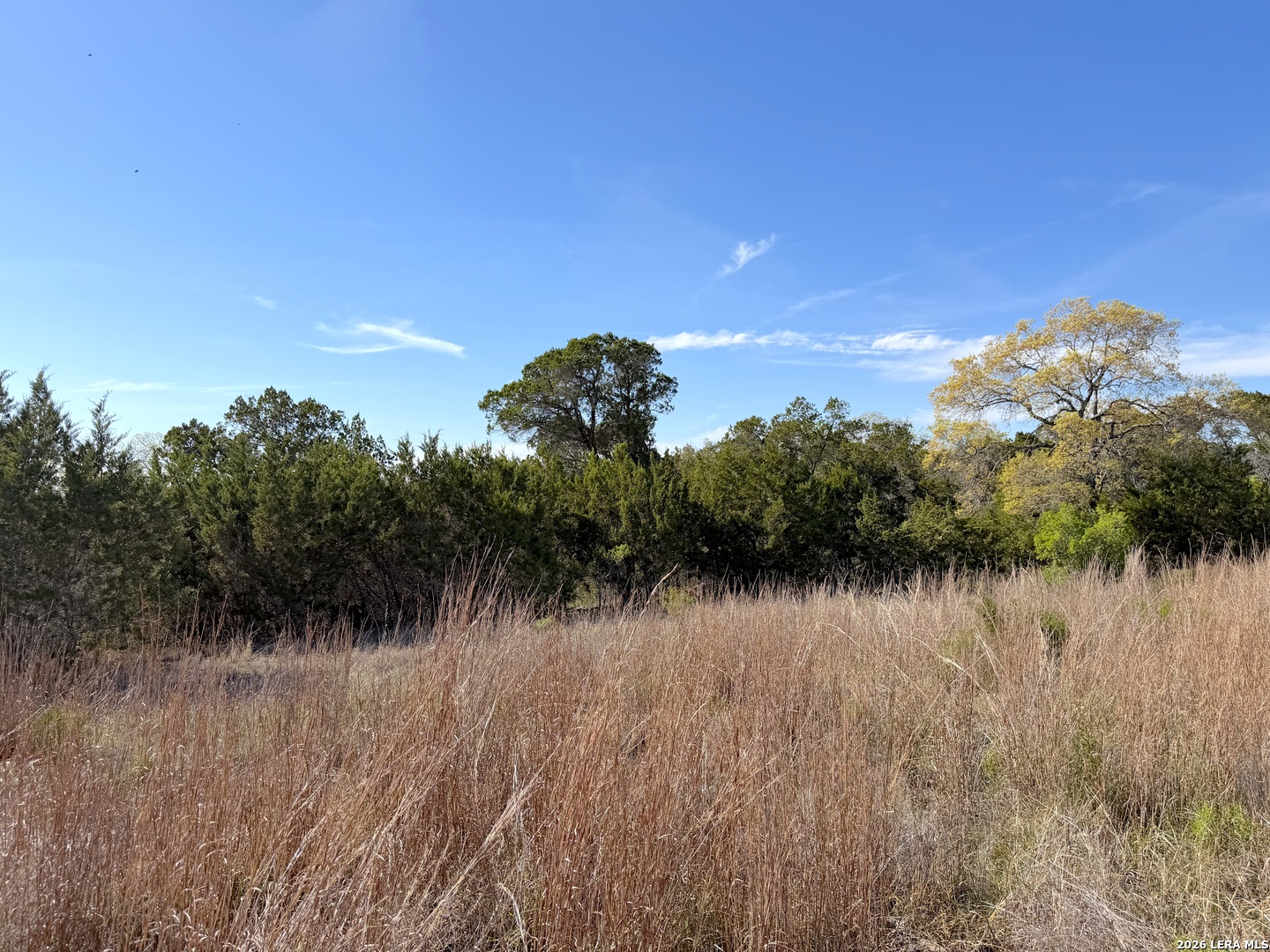 126 Riddle Spring Branch TX 78070