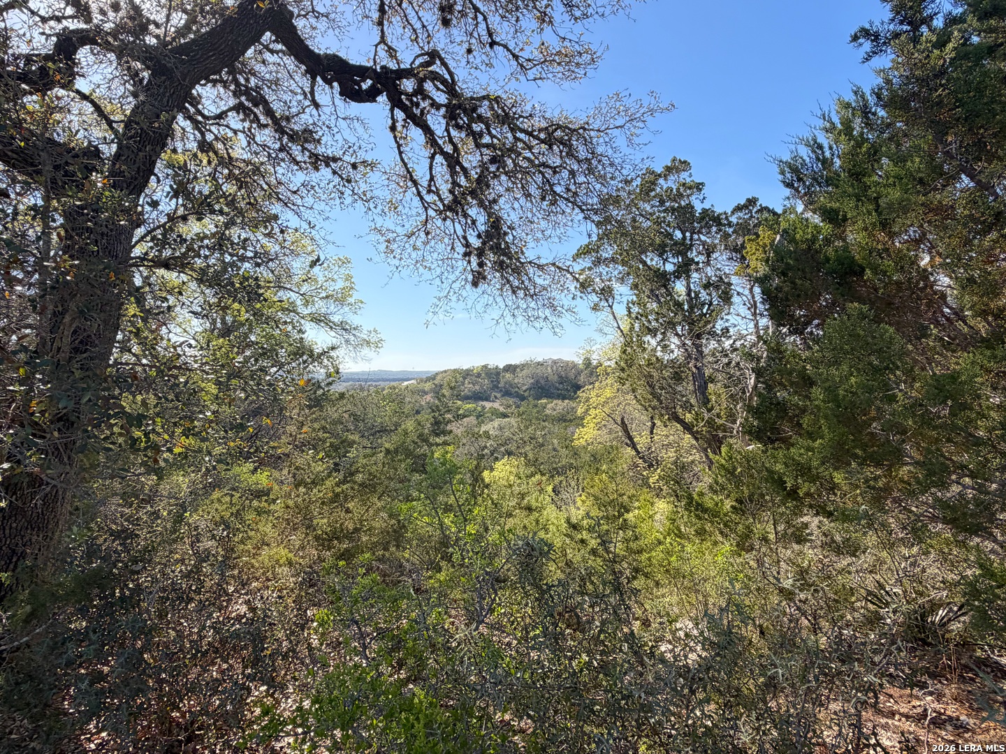 126 Riddle Spring Branch TX 78070