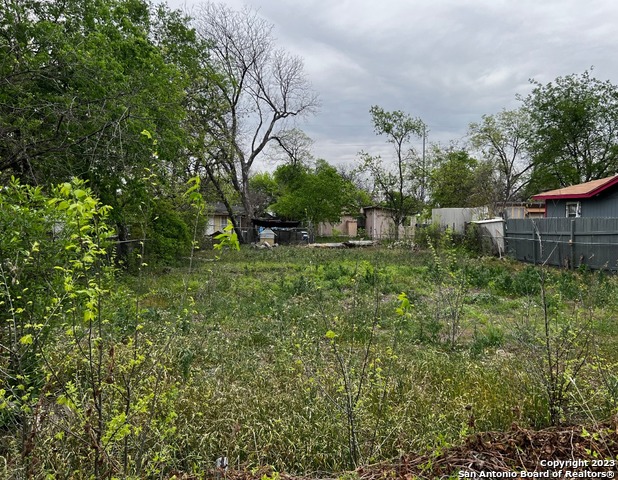 131 Amaya San Antonio TX 78237
