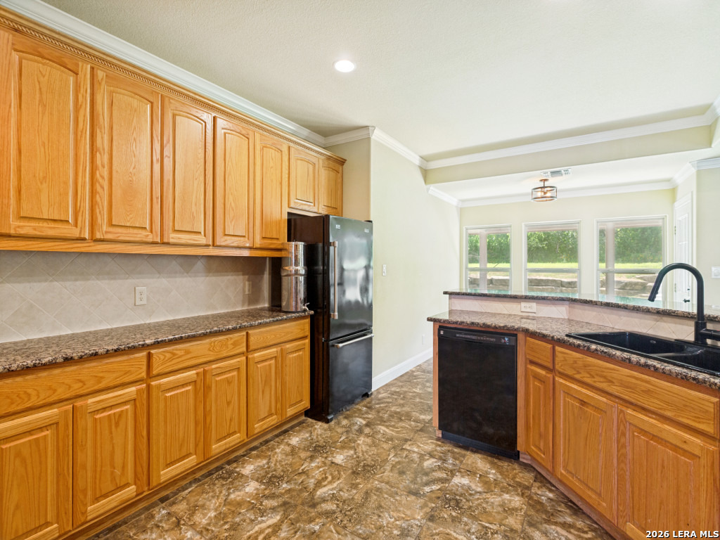 1117 Running Buck Lane Fredericksburg TX 78624