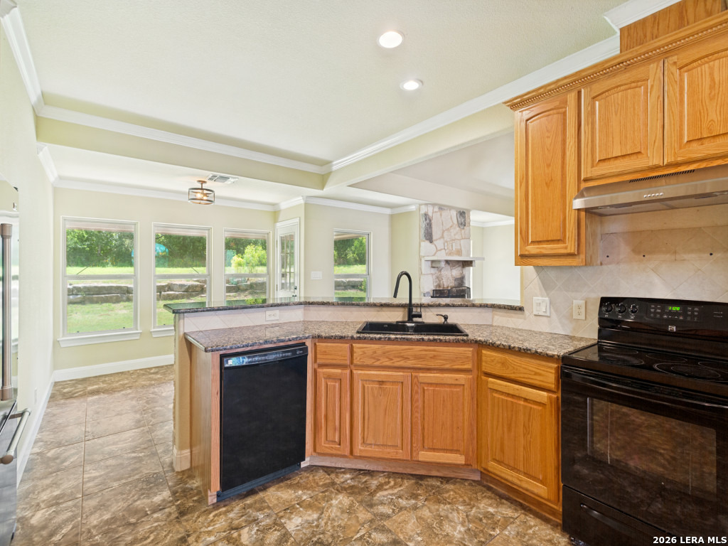 1117 Running Buck Lane Fredericksburg TX 78624
