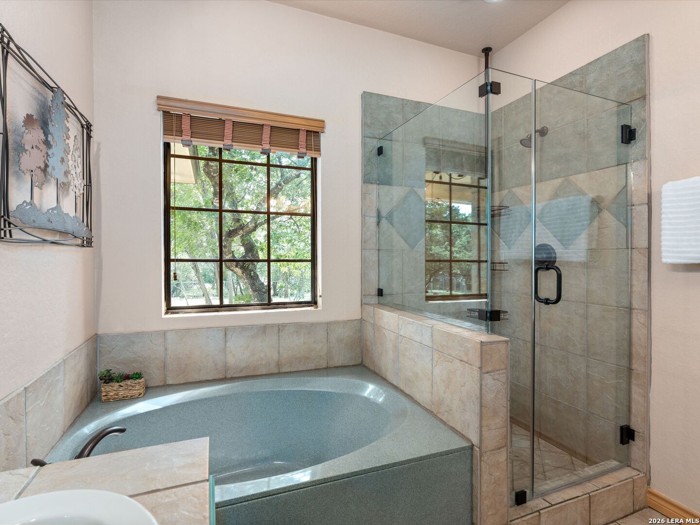 103 Roaring Creek Drive Boerne TX 78006