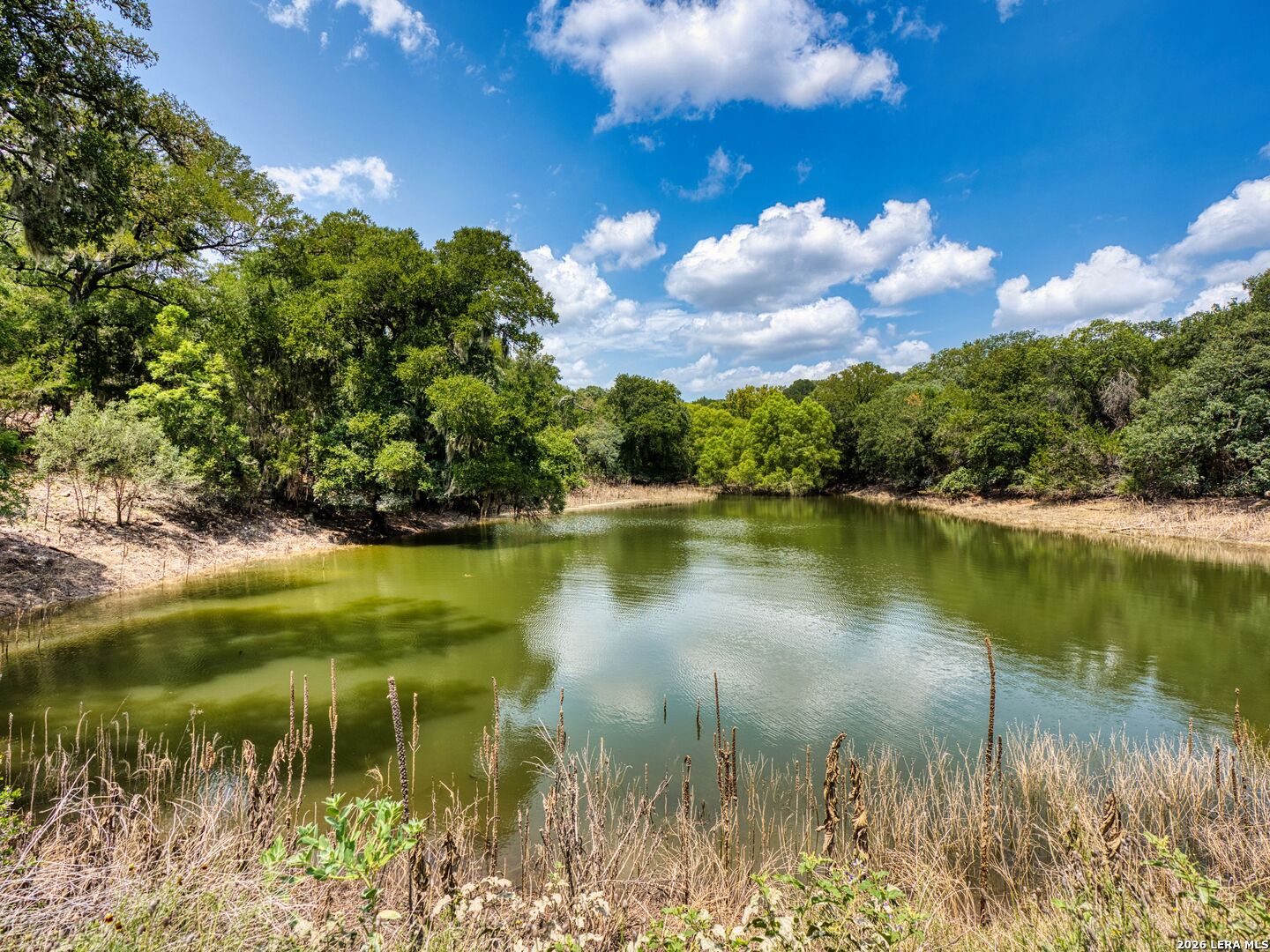 103 Roaring Creek Drive Boerne TX 78006