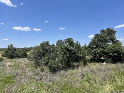 34717 Carries Creek Bulverde TX 78163