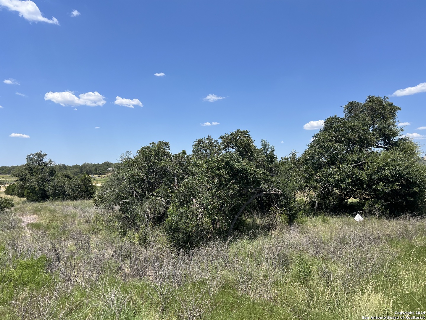 34717 Carries Creek Bulverde TX 78163