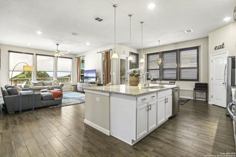 22539 Carriage Bush San Antonio TX 78261