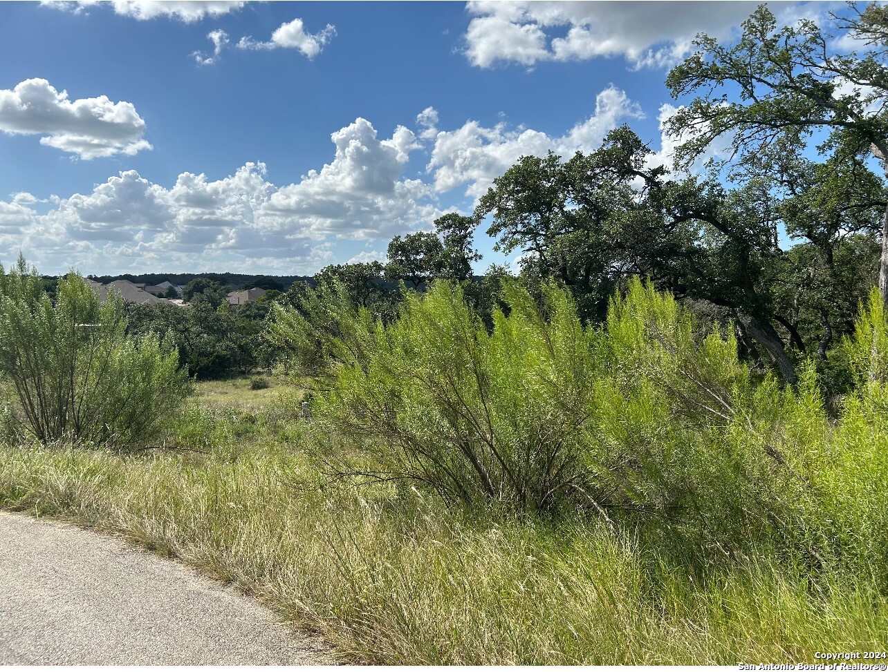 1728 Chardonnay New Braunfels TX 78132