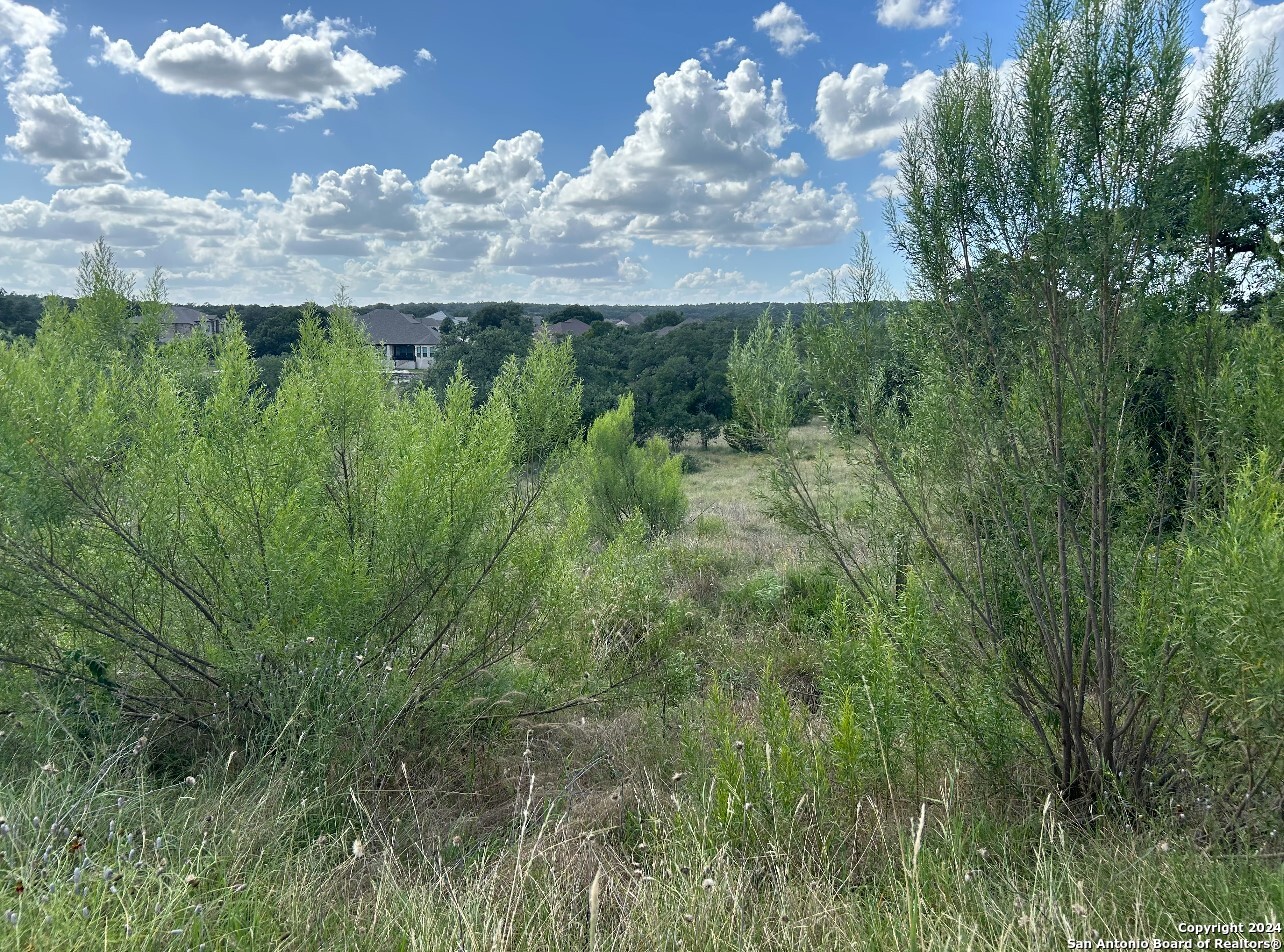 1728 Chardonnay New Braunfels TX 78132