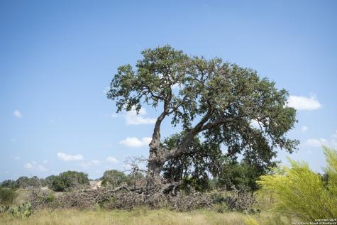 Tbd (LOT 734) Salt Grass Trail Bandera TX 78003
