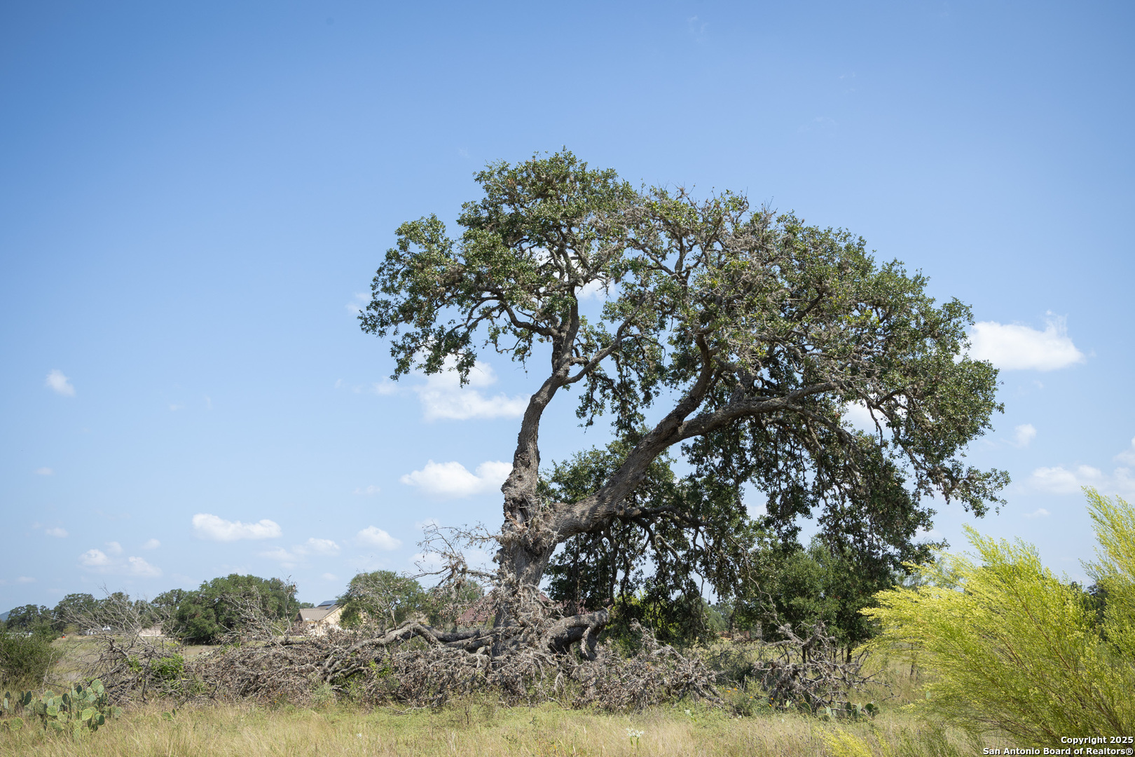 Tbd (LOT 734) Salt Grass Trail Bandera TX 78003