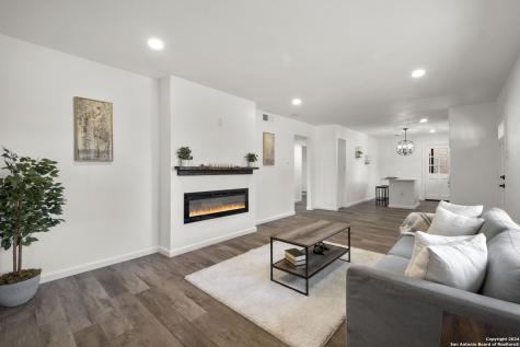 254 Kate Schenck San Antonio TX 78223