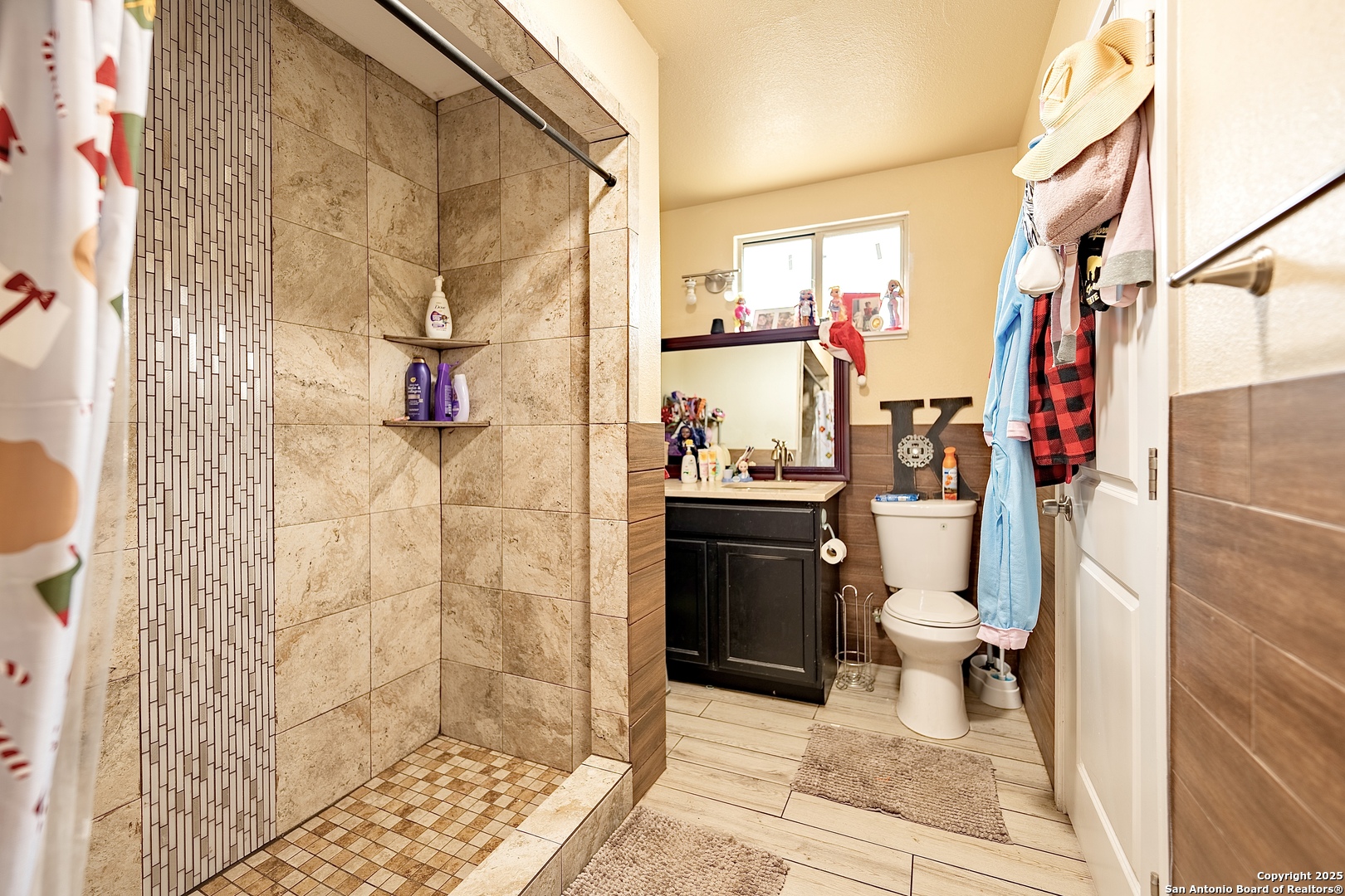 472 County Road 6723 Natalia TX 78059