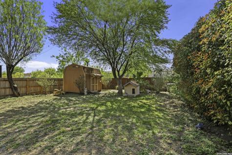 319 Shadbush Street San Antonio TX 78245