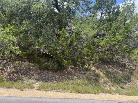 1236 Stallion Springs Fischer TX 78623
