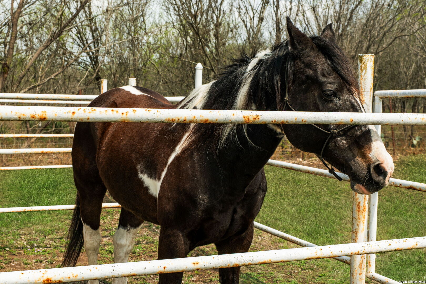 8463 Barron San Antonio TX 78240