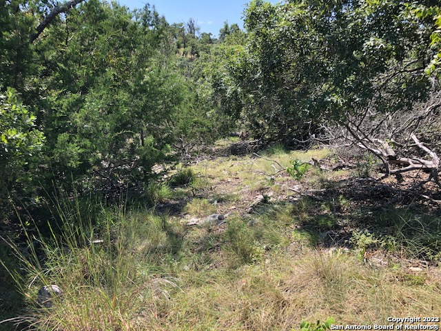 Lot 8 Longview Drive Fredericksburg TX 78624