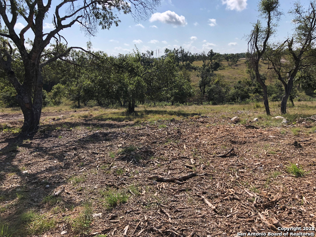 Lot 8 Longview Drive Fredericksburg TX 78624