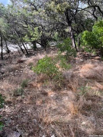 Lots 11,12 Pebble Beach Drive NW Lakehills TX 78063