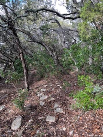 Lots 11,12 Pebble Beach Drive NW Lakehills TX 78063