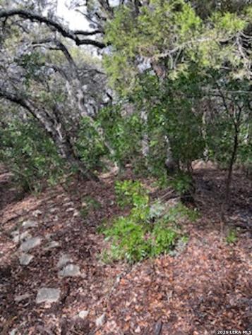 Lots 11,12 Pebble Beach Drive NW Lakehills TX 78063