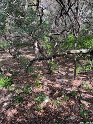 Lots 11,12 Pebble Beach Drive NW Lakehills TX 78063