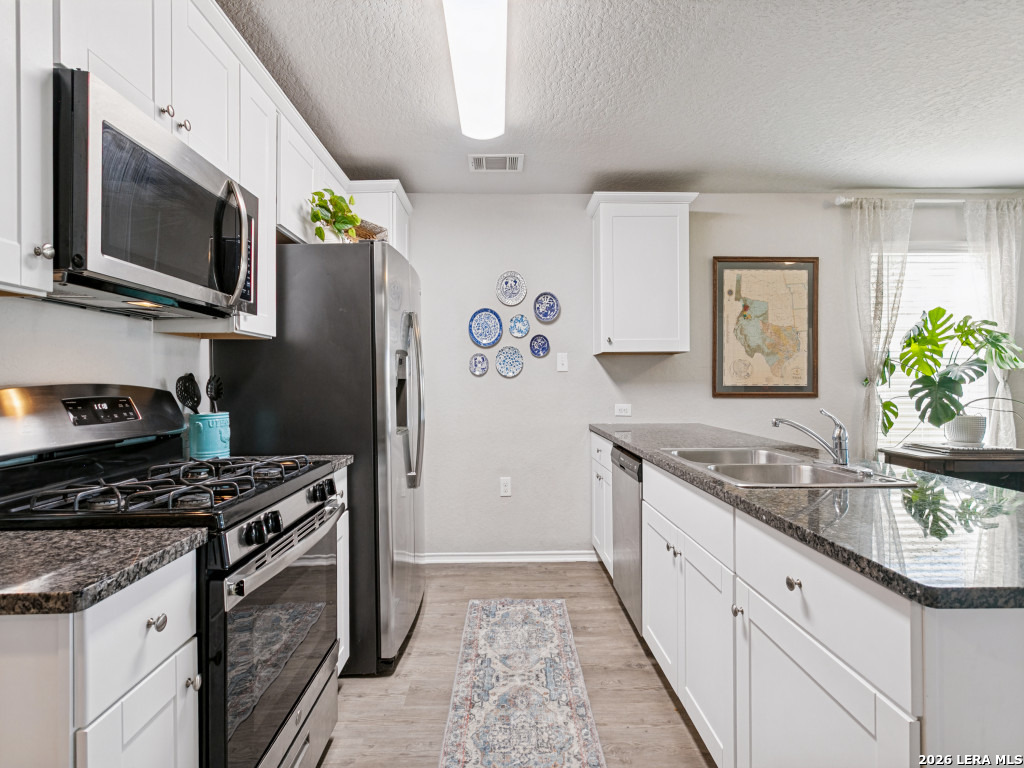 31553 Acacia Vista Bulverde TX 78163