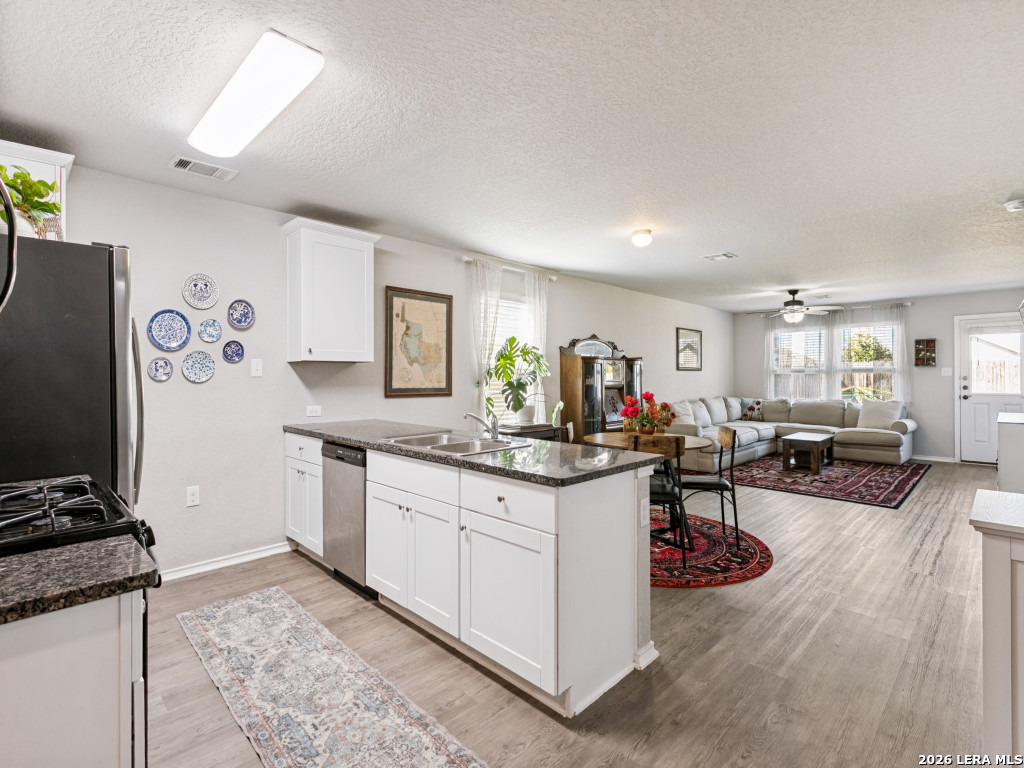 31553 Acacia Vista Bulverde TX 78163
